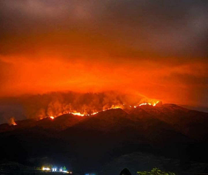 Jalur Pendakian Gunung Jawa Tengah Ditutup Sementara untuk Cegah Karhutla